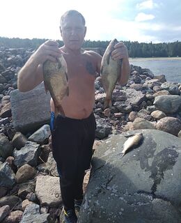 smorodinvitalik@gmail.com